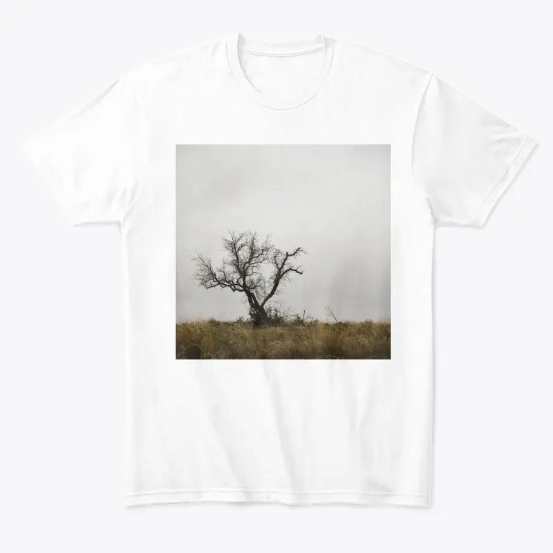 Inks Lake Tree Cotton Tee