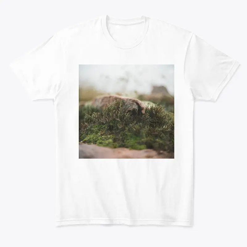 Inks Lake Moss 2 Cotton Tee